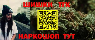 стаф Камышлов