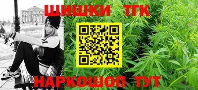 стаф Камышлов
