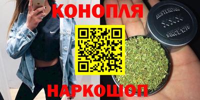 стаф Камышлов