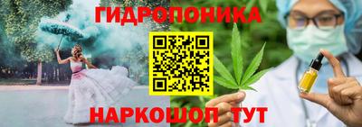 стаф Камышлов
